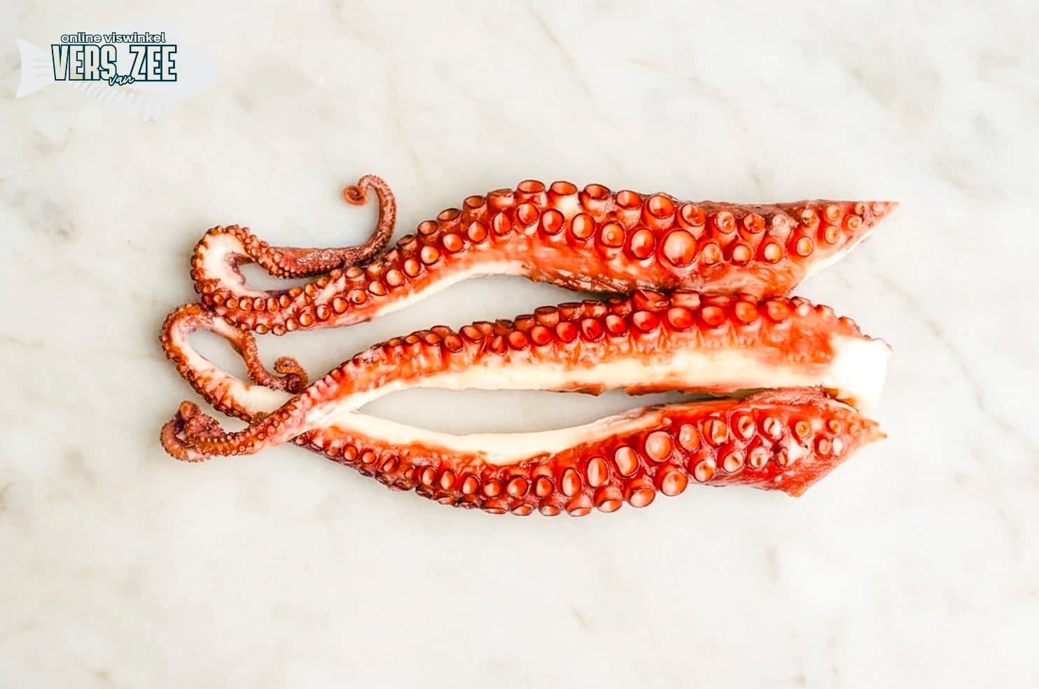 Gekookte octopus tentakels op marmer