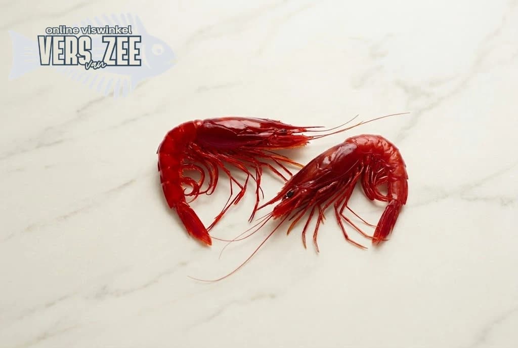 Carabinero garnaal